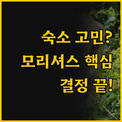 궁금증 해결 모리셔스 여행 스타일에 ..