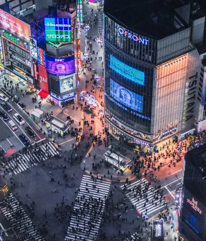 시내의 야경