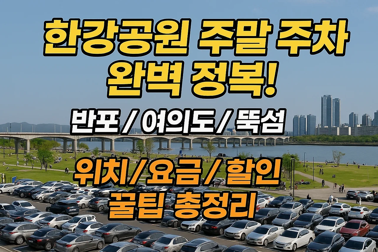 한강공원 주말 주차 완벽 정복!