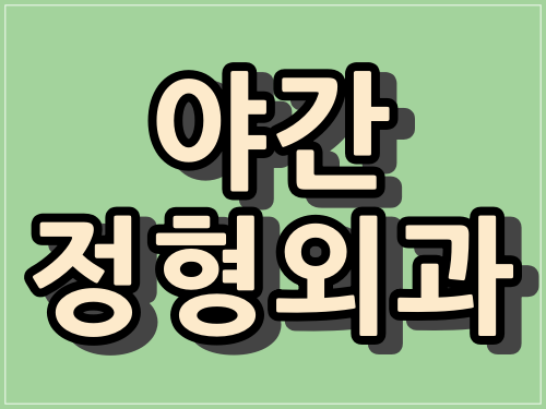 대전 야간 정형외과 "총정리"