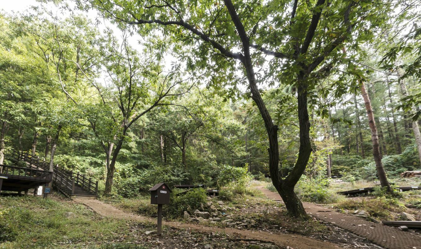 용인 자연휴양림 캠핑 예약 가이드