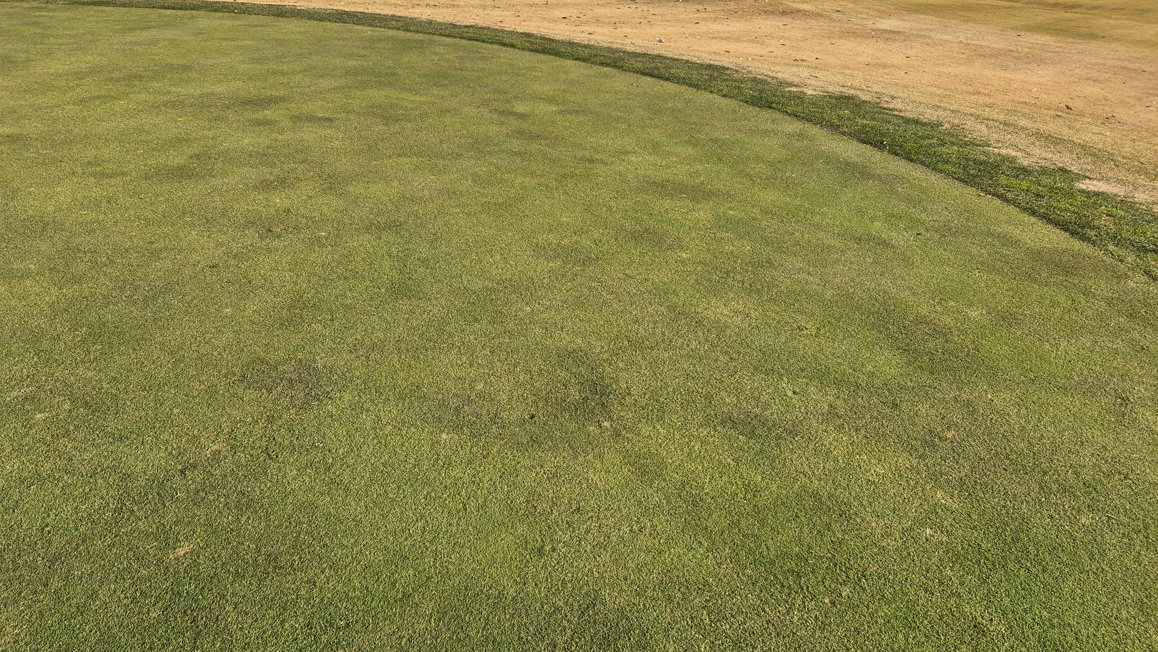 올데이 떼제베cc 가람-누리(서-남) 그린관리상태