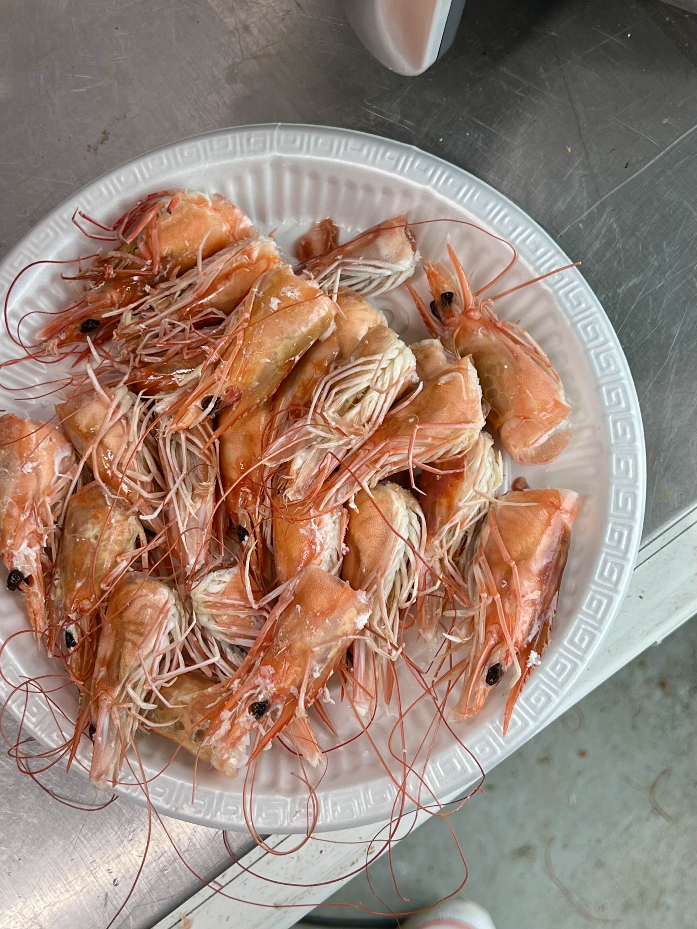 셀프 대하구이 새우양식장에서 새우 머리튀김해먹기