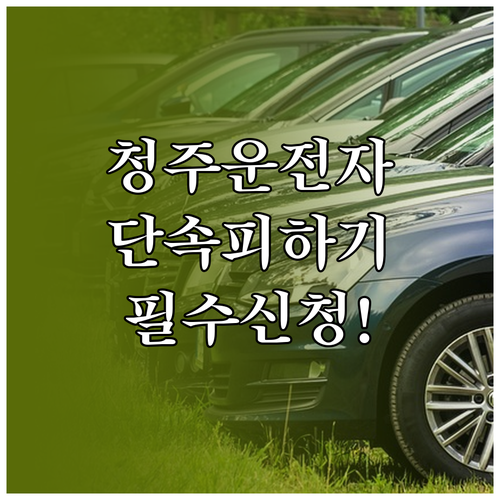 청주 주정차단속 문자 서비스 신청으로..