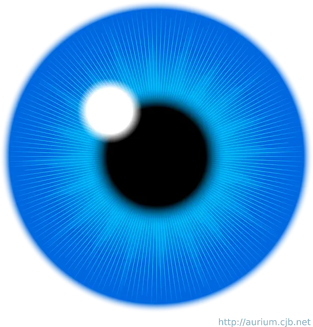 눈 건강 영양제 추천