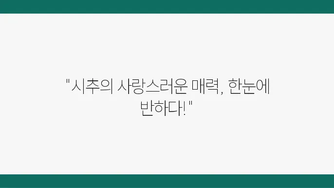시? 강개님, 기다린 도해도 긍가는 한시티주 이럴 도해도