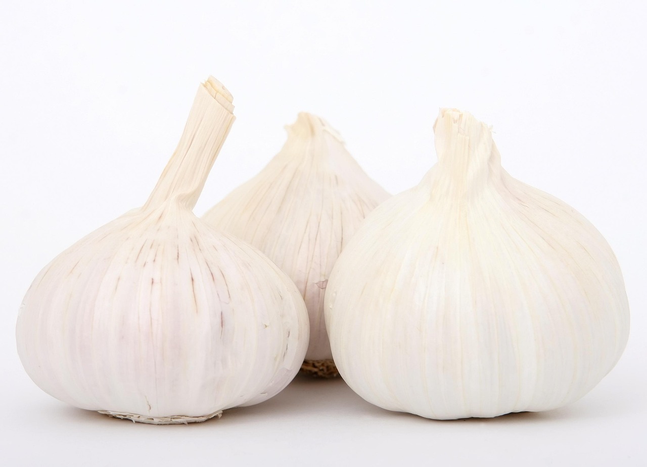 마늘, garlic