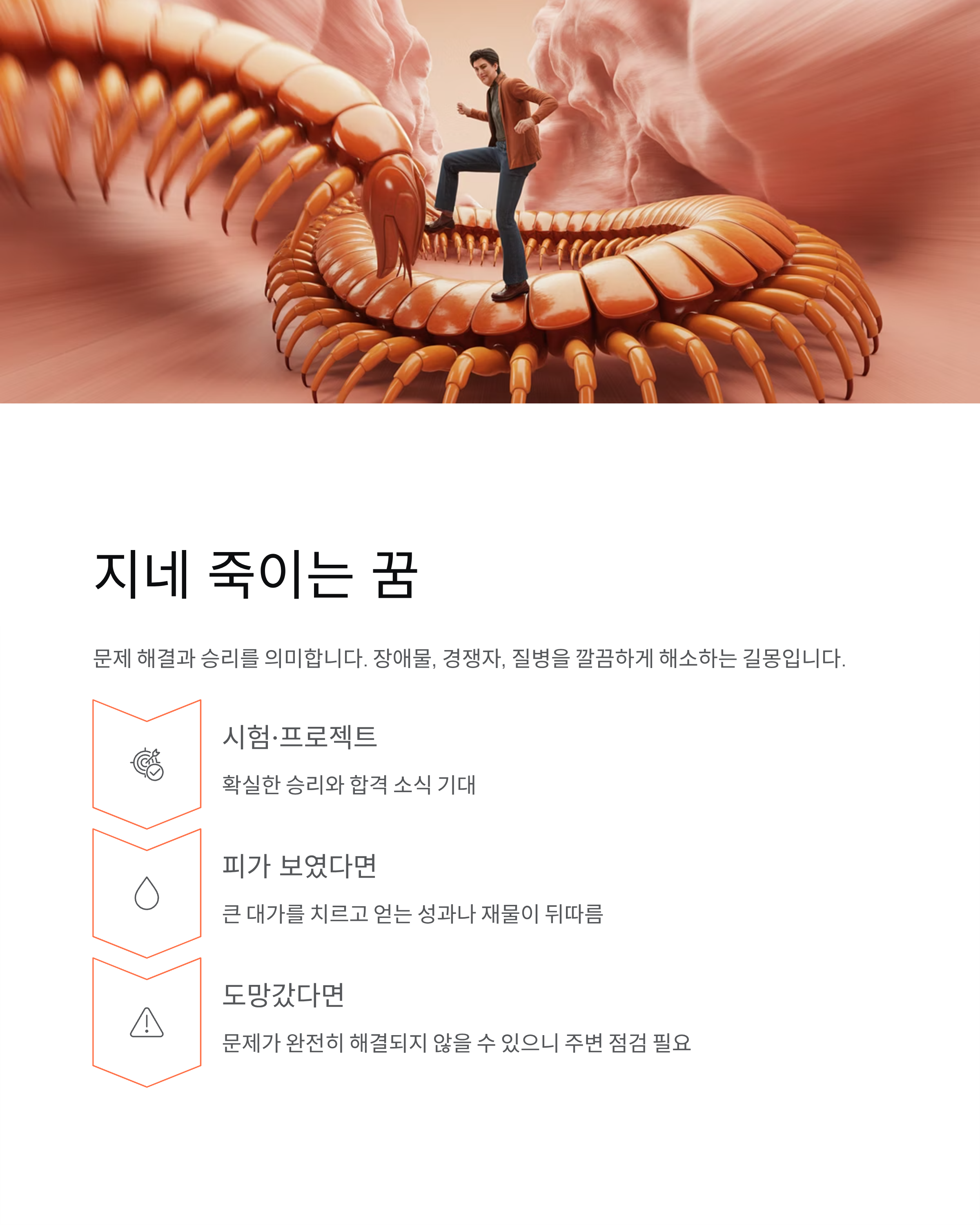 지네꿈 해몽, 죽이는 꿈, 물리는 꿈은 대박 징조? 재물복 핵심 정리!