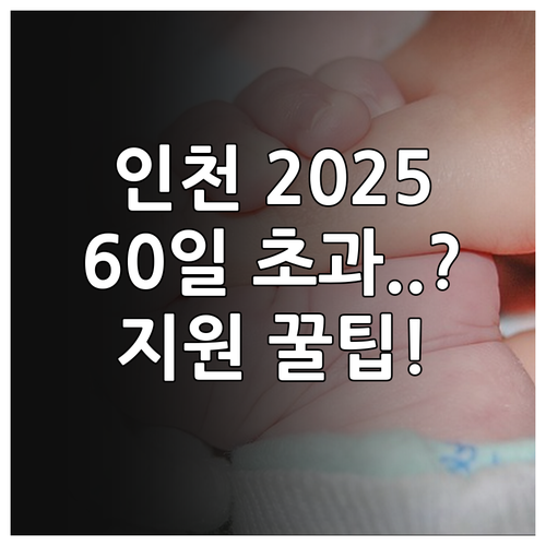 인천시 2025년 산모신생아 지원 대..