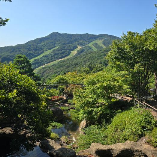 화담숲 입장료2