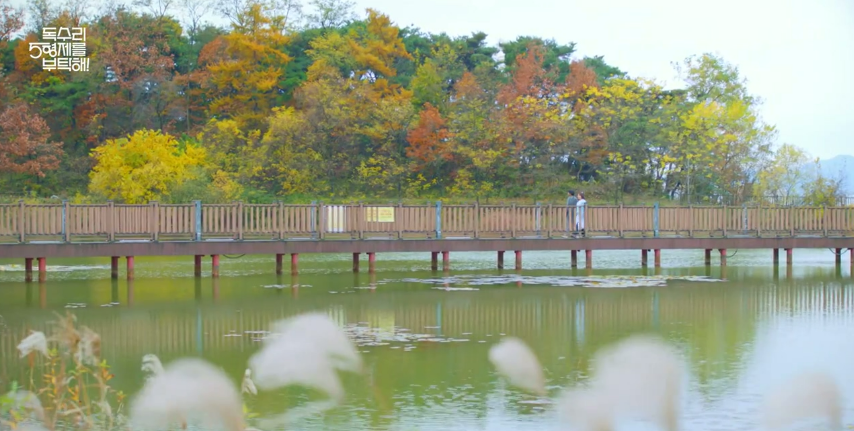 독수리 5형제를 부탁해