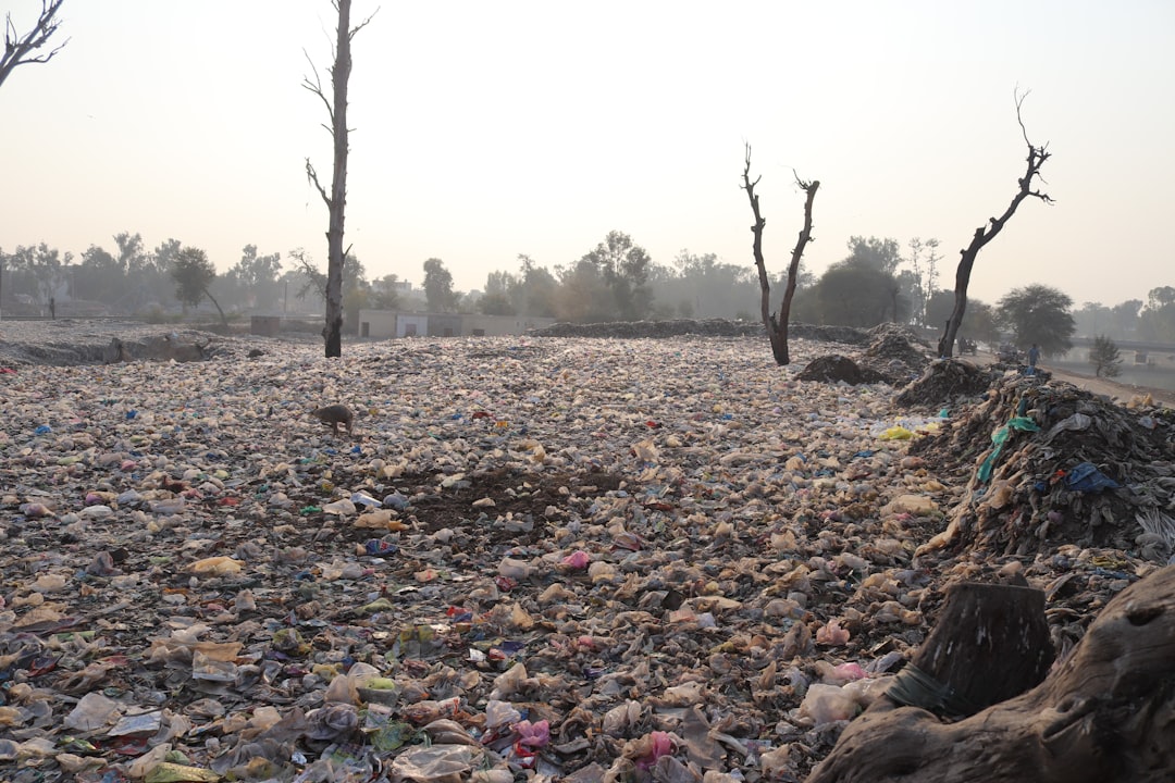 Pollution.