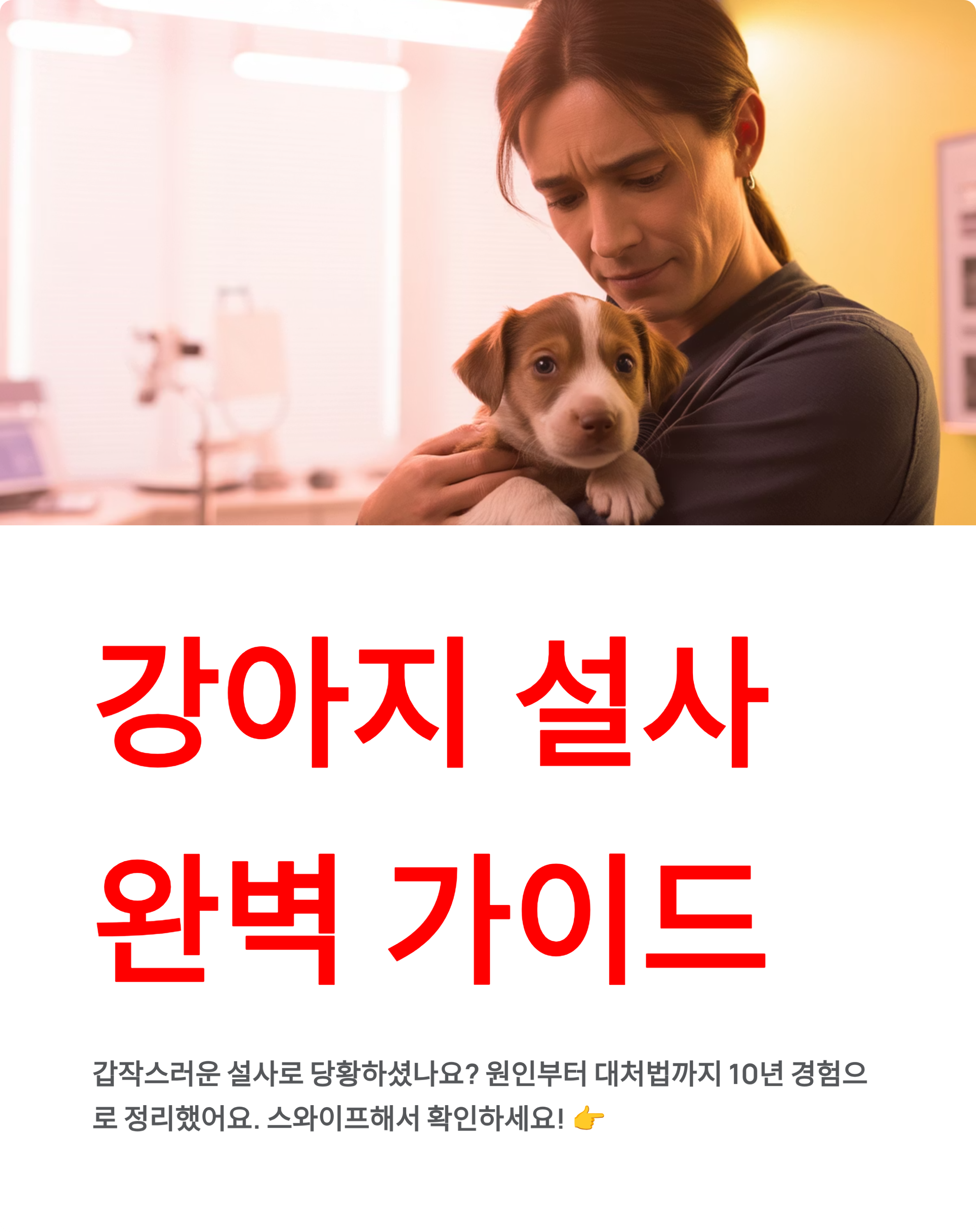 강아지 설사 🐕 원인·증상·대처법 총정리! 언제 병원 가야 할까?