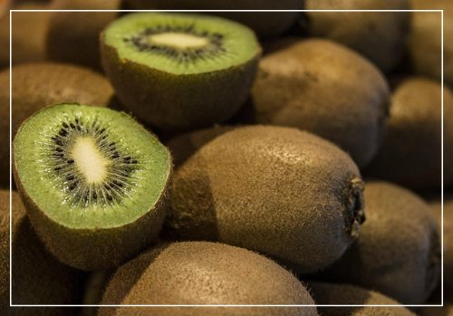 참다래 칼로리 영양성분