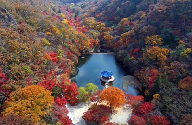 내장산 국립공원