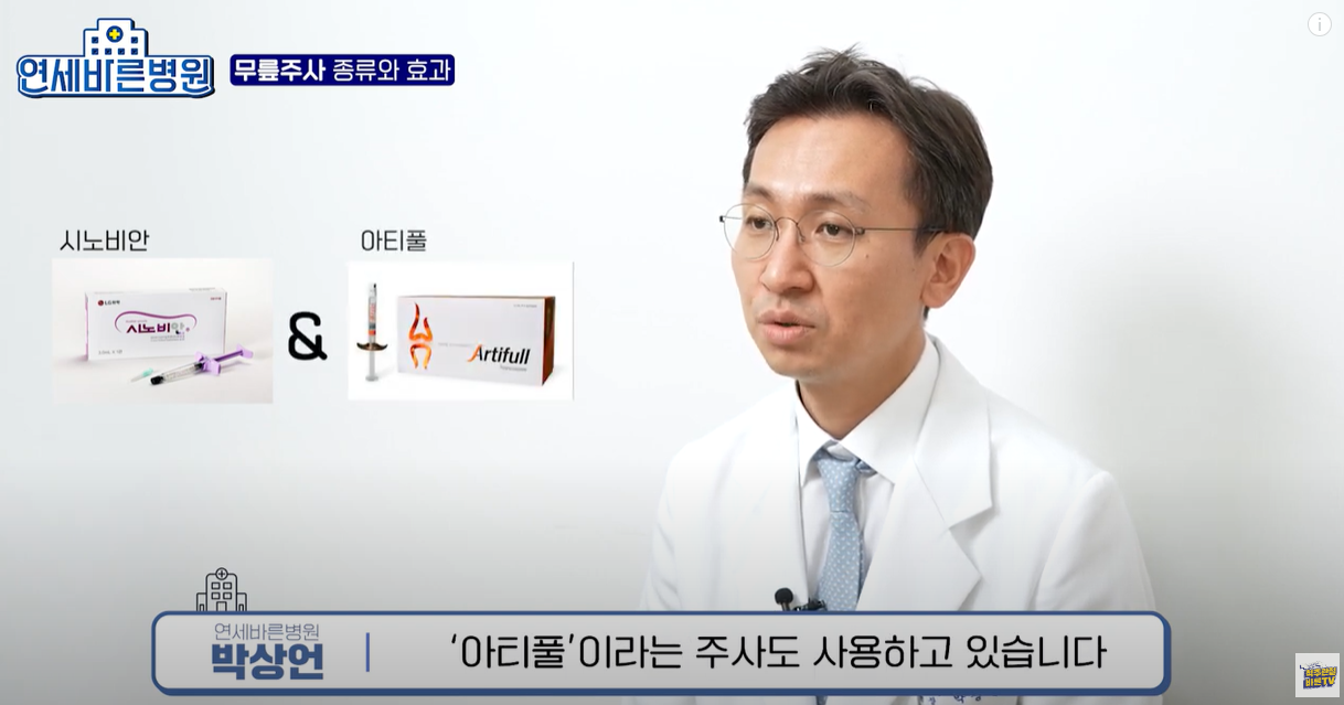 이전 무릎 주사 종류 시노비안, 아티플