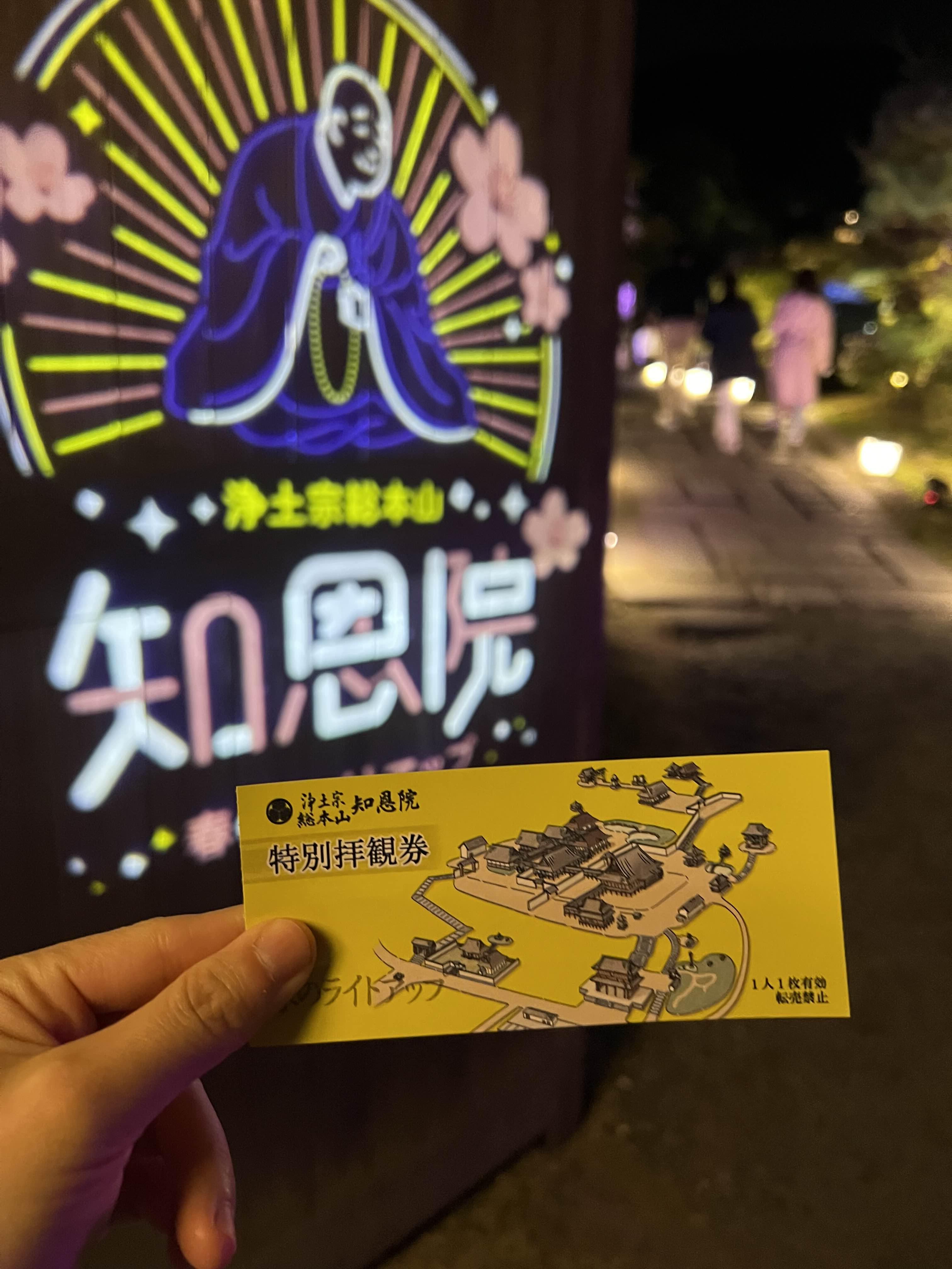 2023 벚꽃 지온인 라이트업