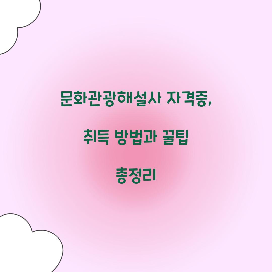 문화관광해설사 자격증