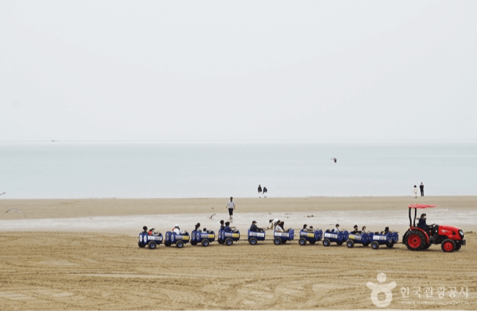 임자 대광해수욕장