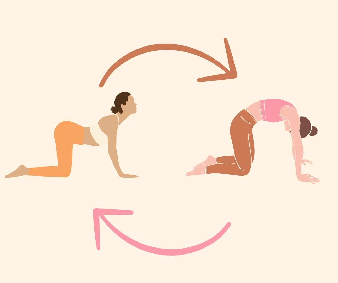 고양이소스트레칭