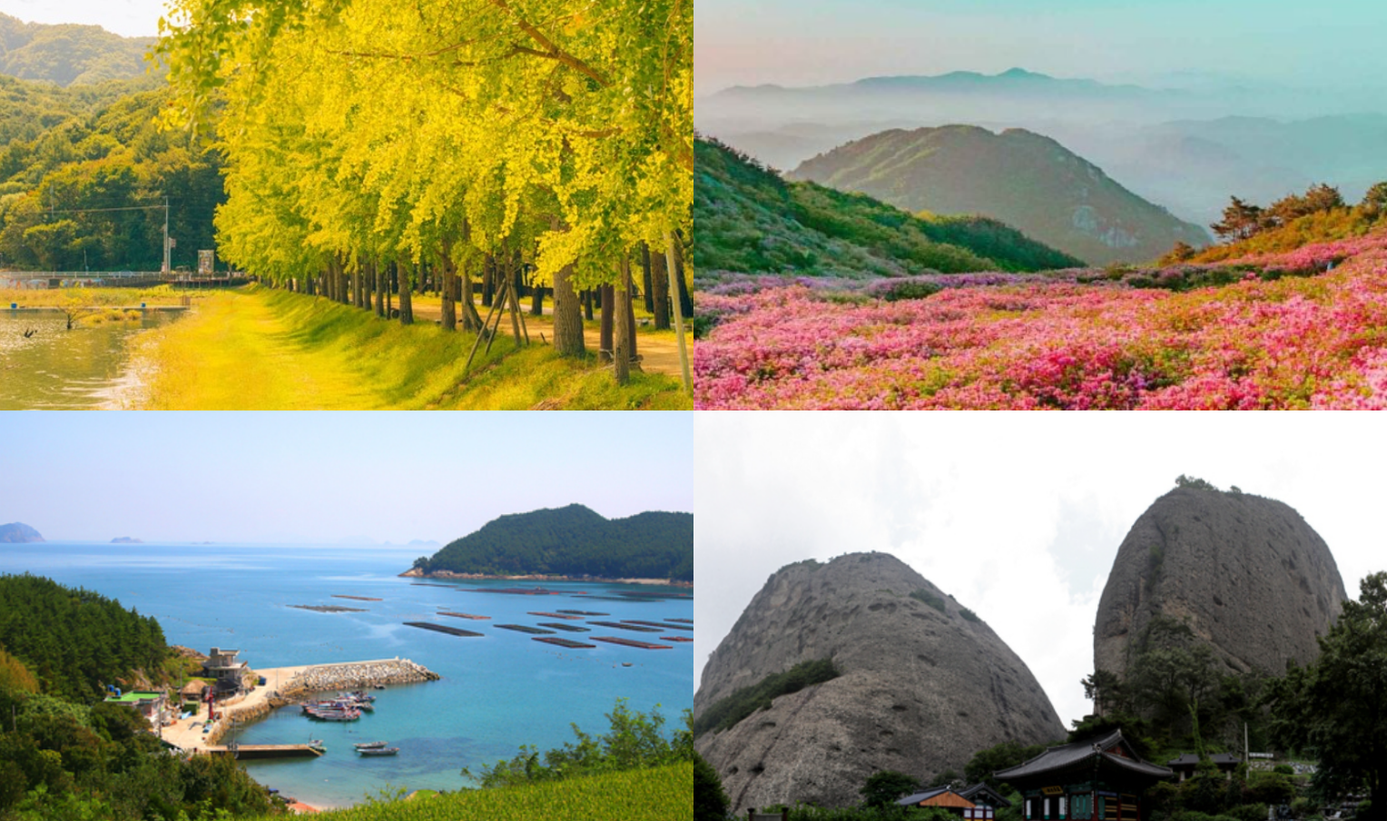 11월에 가볼만한 국내 여행지