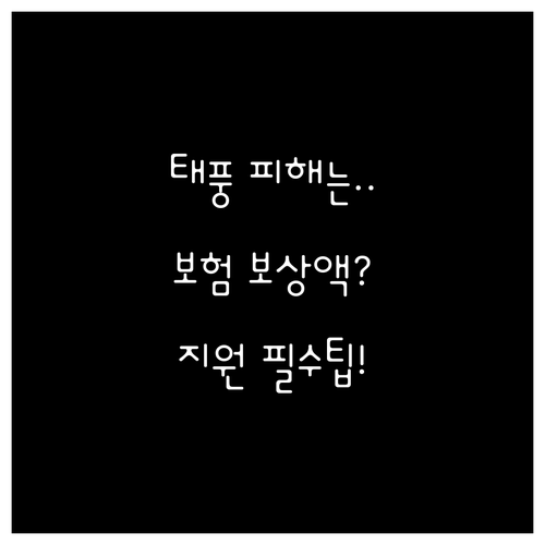 태풍 홍수 피해 복구! 풍수해보험 보..