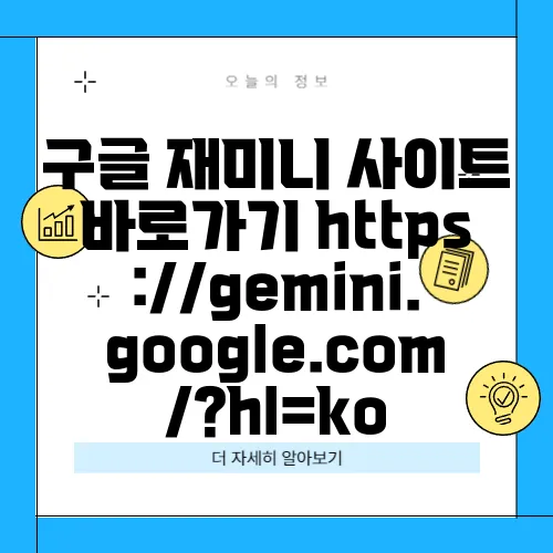 구글 재미니 사이트 바로가기 https://gemini.google.com/?hl=ko