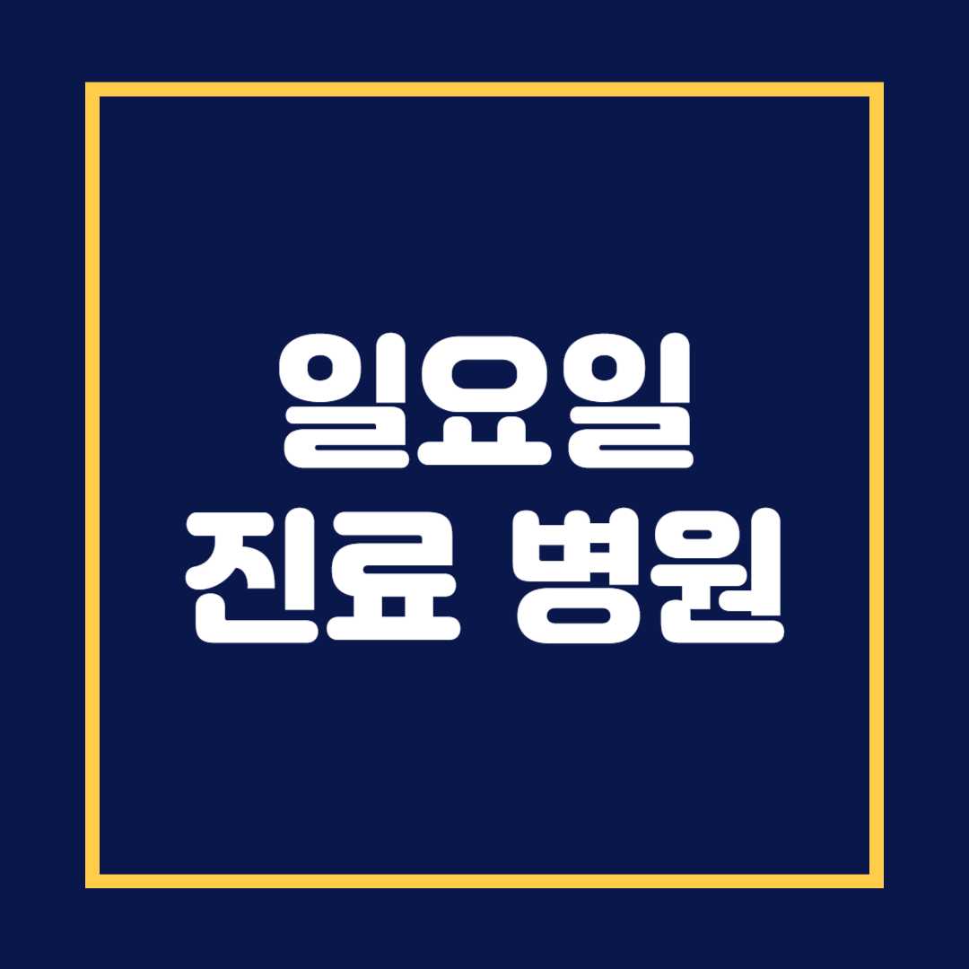 일요일 진료 병원검색 방법