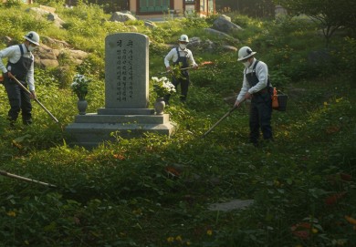 익산 벌초대행 다온그룹 산림조합과 민간 전문업체 비교 관련사진