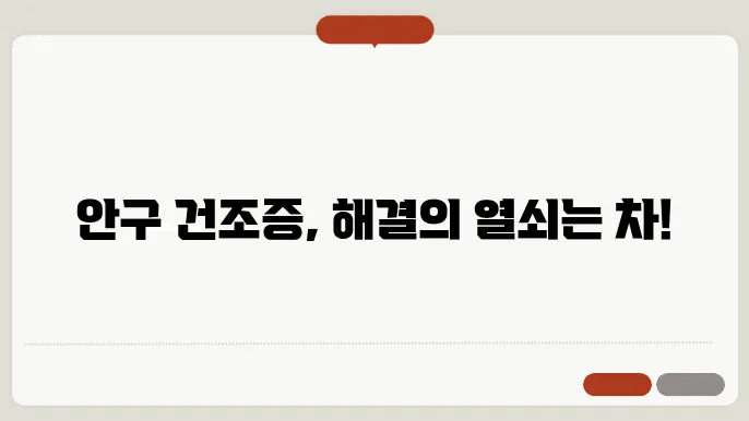 안구 건조증에 좋은 차와 안구 건조증 예방하는 법