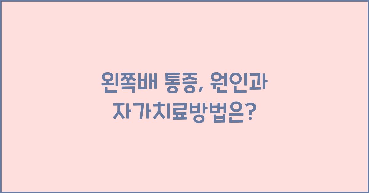왼쪽배 통증