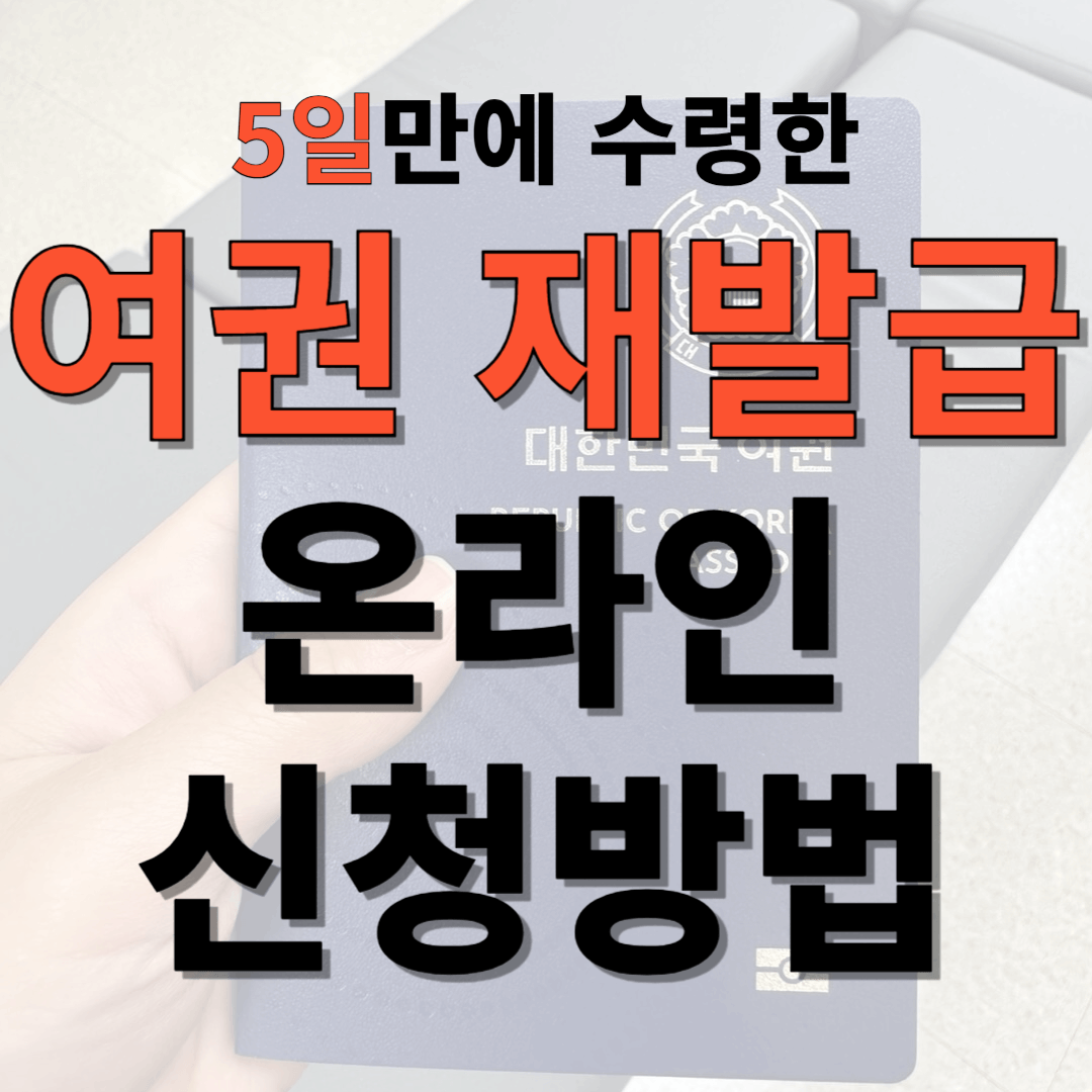 여권 재발급 온라인 신청방법 신청비용 신청후기