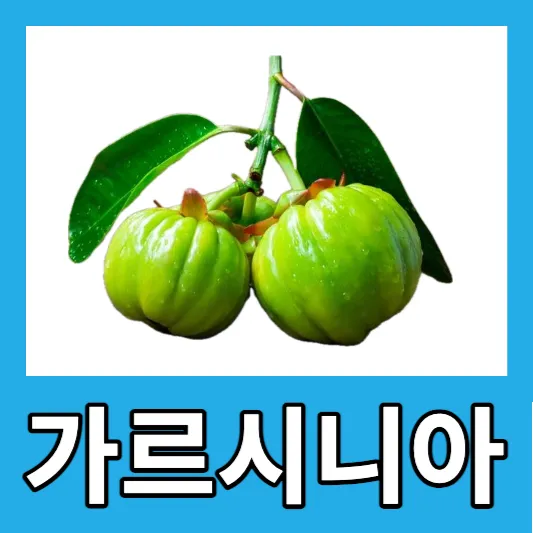 가르시니아
