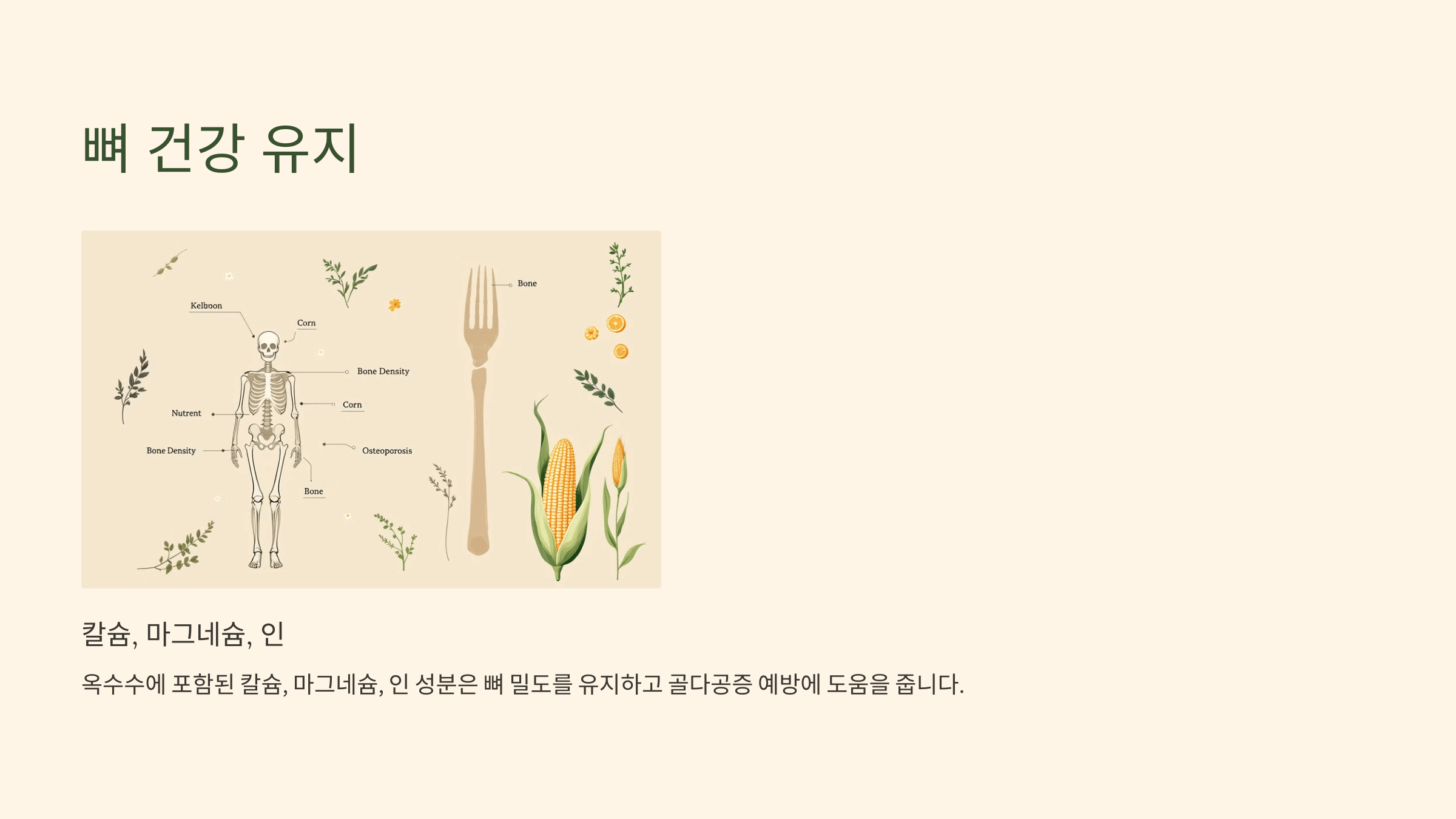 옥수수 사진입니다.