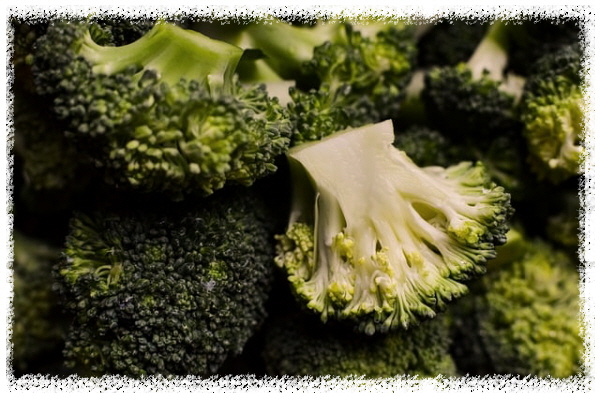 단백질채소-근육-브로콜리