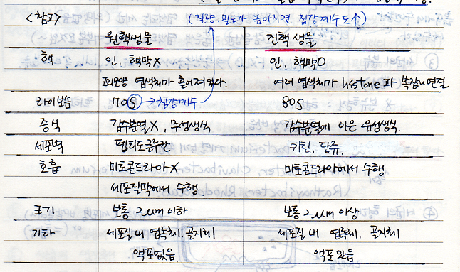 원핵생물과 진핵생물 비교