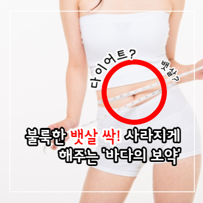 다시마 효능 및 부작용과 요리 방법
