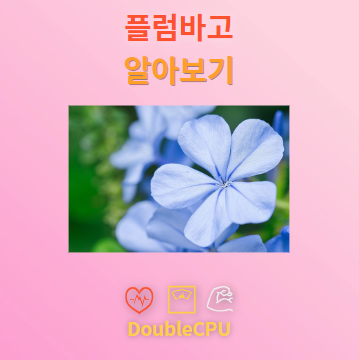 플럼바고 탐구