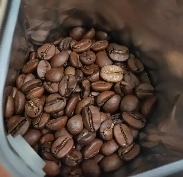 커피샴푸와 커피염색