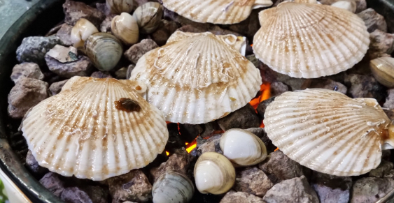 쌍문역 " 맥반석조개구이"