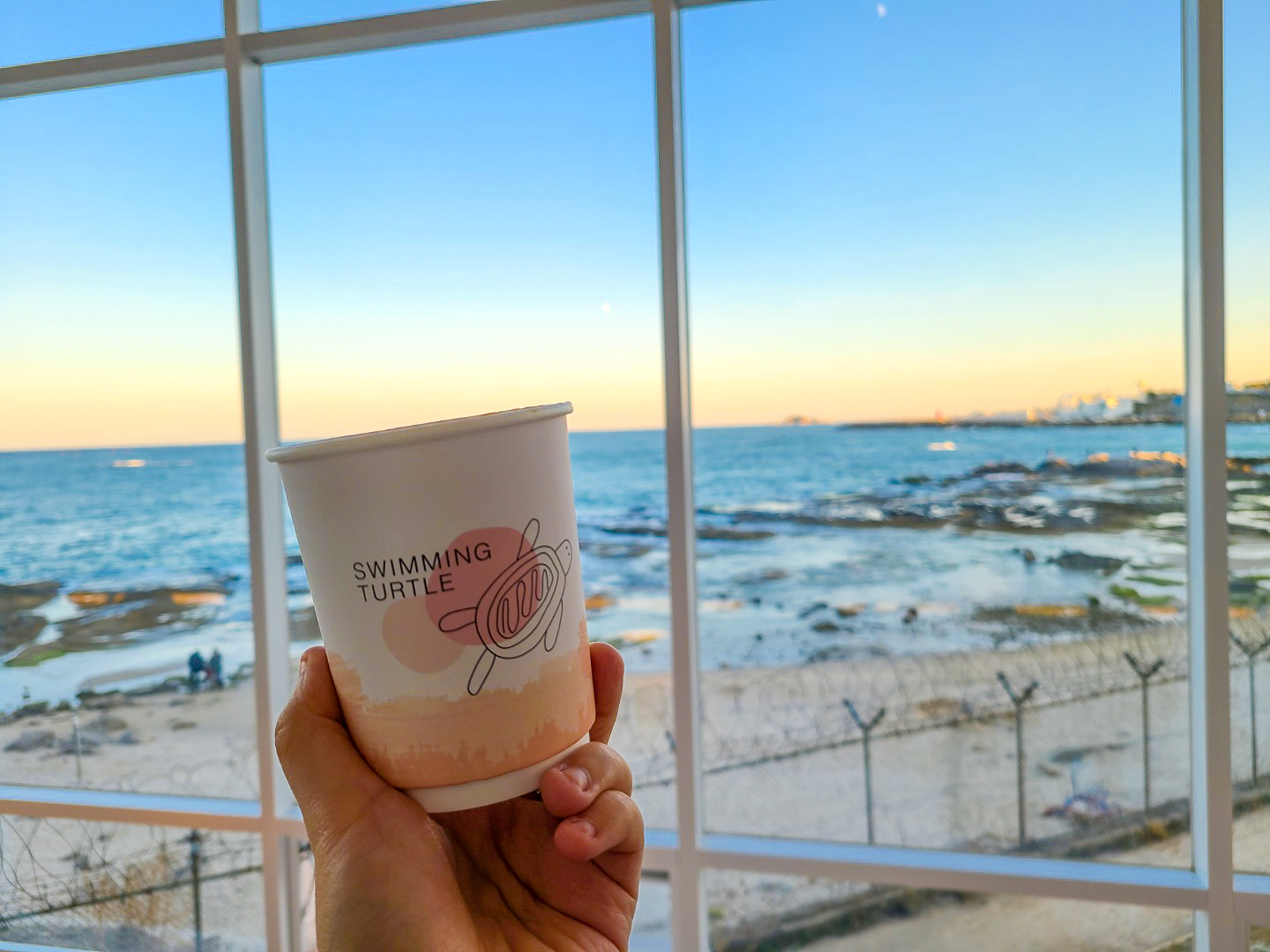 강원도 고성 가볼만한 곳 :: 오션뷰 카페 3곳 추천 - undefined - 2. 스위밍터틀 강원도 고성 가볼만한 곳 :: 오션뷰 카페 3곳 추천 - undefined - 2. 스위밍터틀