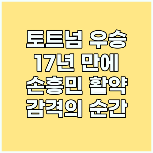 토트넘 17년 만에 감격 우승! 손흥