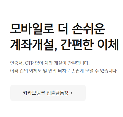 카카오뱅크 비상금대출