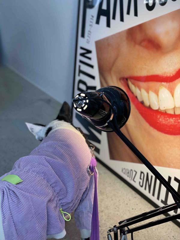 카시아 립스틱 포토존