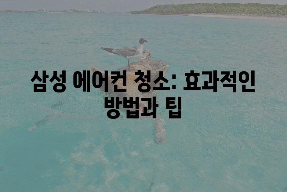 샘플 (1)