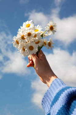 울산 봄꽃 축제 일정 &amp; 벚꽃 명소 개화시기 &amp; 교통편 팁