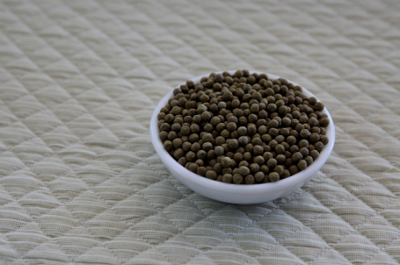 첩약 비용 실손 보험 청구 방법