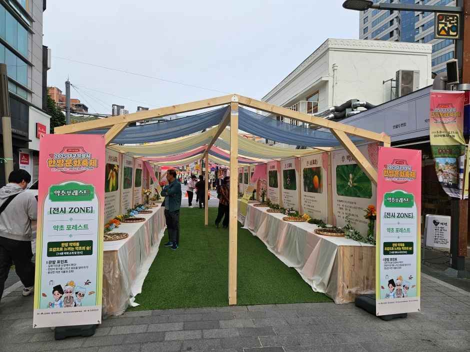 대구약령시한방문화축제