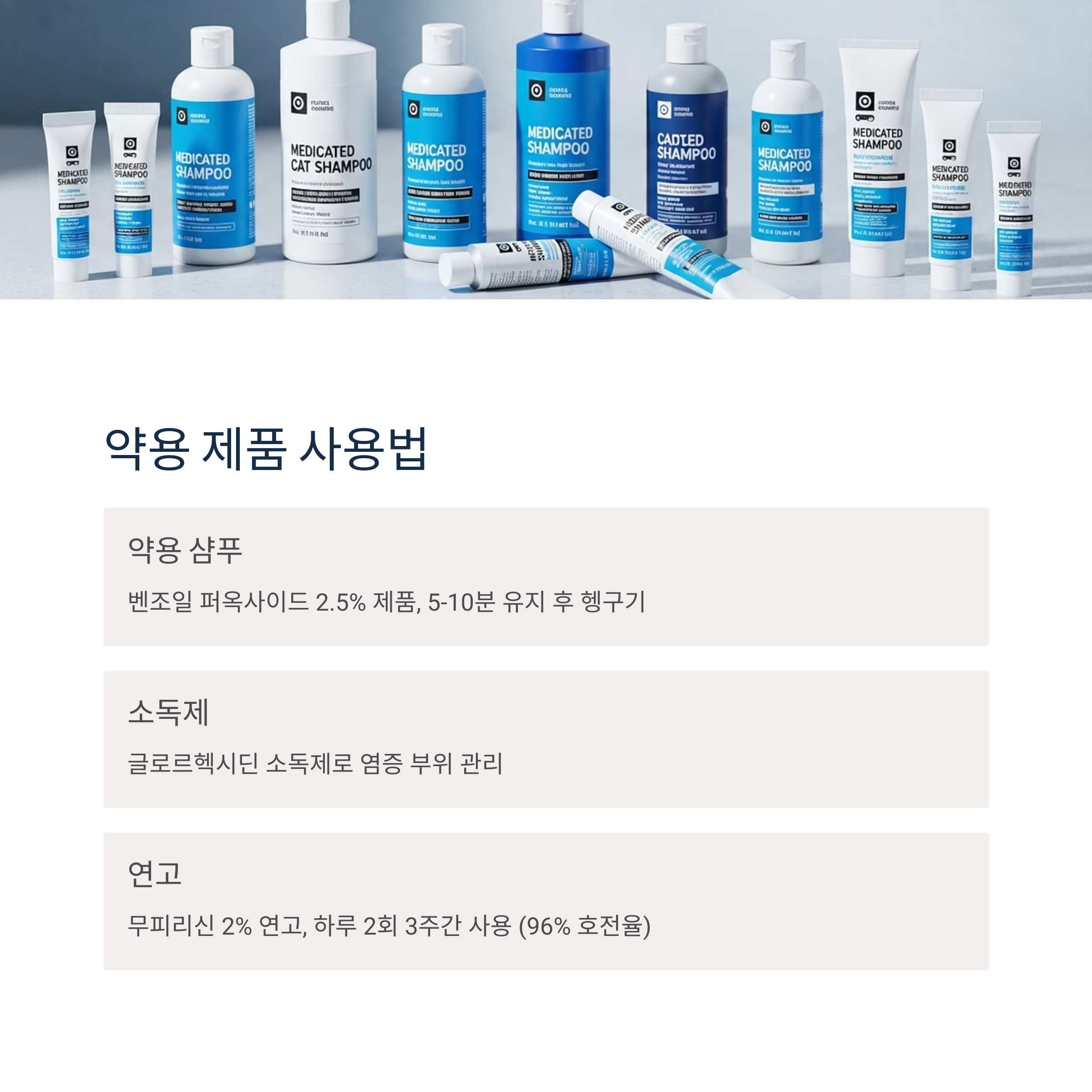 약용 제품 사용법