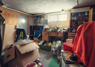 독일 바퀴벌레 없애는 방법